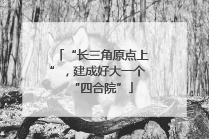 “长三角原点上”，建成好大一个“四合院”