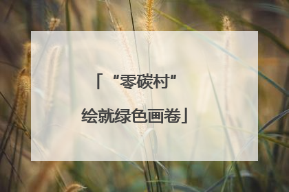 “零碳村” 绘就绿色画卷