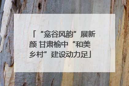 “龛谷风韵”展新颜 甘肃榆中“和美乡村”建设动力足