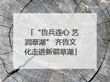 “鲁兵连心 艺润草湖” 齐鲁文化走进新疆草湖
