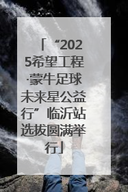 “2025希望工程·蒙牛足球未来星公益行”临沂站选拔圆满举行