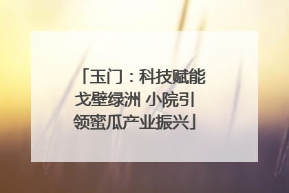 玉门：科技赋能戈壁绿洲 小院引领蜜瓜产业振兴