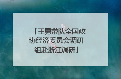 王勇带队全国政协经济委员会调研组赴浙江调研