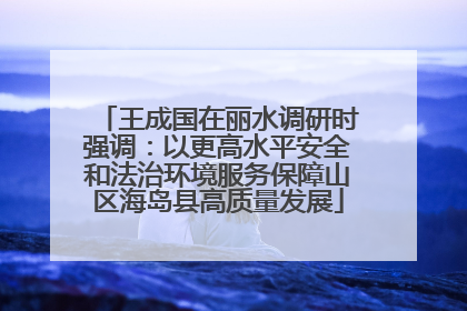 王成国在丽水调研时强调：以更高水平安全和法治环境服务保障山区海岛县高质量发展