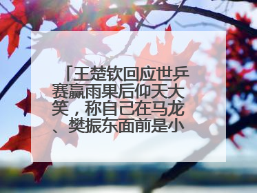 王楚钦回应世乒赛赢雨果后仰天大笑，称自己在马龙、樊振东面前是小孩，巴黎奥运被孙颖莎带着打