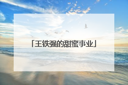 王铁强的甜蜜事业