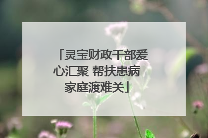 灵宝财政干部爱心汇聚 帮扶患病家庭渡难关