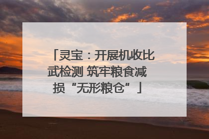 灵宝：开展机收比武检测 筑牢粮食减损“无形粮仓”