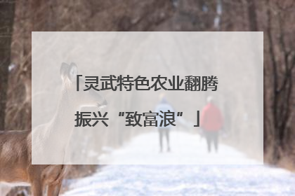 灵武特色农业翻腾振兴“致富浪”