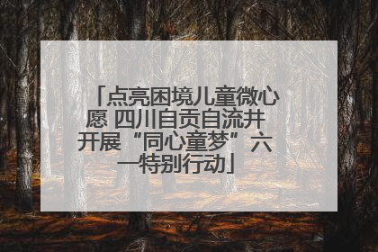 点亮困境儿童微心愿 四川自贡自流井开展“同心童梦”六一特别行动