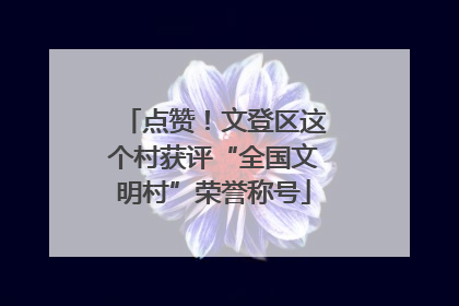 点赞！文登区这个村获评“全国文明村”荣誉称号