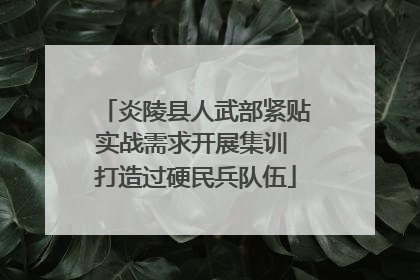 炎陵县人武部紧贴实战需求开展集训 打造过硬民兵队伍