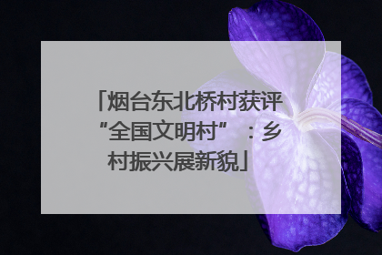 烟台东北桥村获评“全国文明村”：乡村振兴展新貌