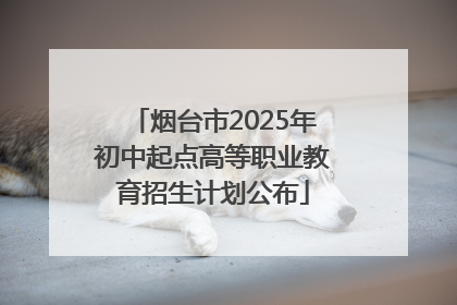 烟台市2025年初中起点高等职业教育招生计划公布