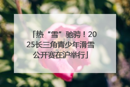 热“雪”驰骋！2025长三角青少年滑雪公开赛在沪举行