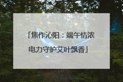 焦作沁阳：端午情浓 电力守护艾叶飘香