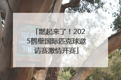 燃起来了！2025鹤壁国际匹克球邀请赛激情开赛