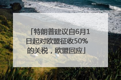特朗普建议自6月1日起对欧盟征收50%的关税，欧盟回应