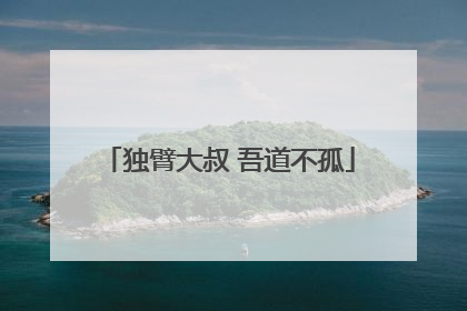 独臂大叔 吾道不孤