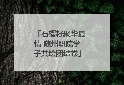 石榴籽聚华夏情 随州职院学子共绘团结卷