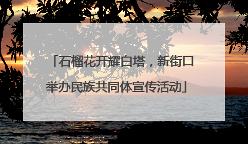 石榴花开耀白塔，新街口举办民族共同体宣传活动