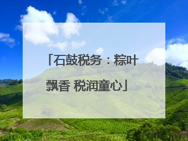 石鼓税务：粽叶飘香 税润童心