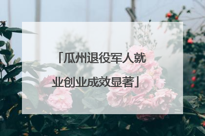 瓜州退役军人就业创业成效显著