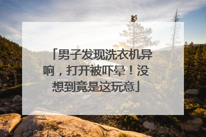 男子发现洗衣机异响，打开被吓晕！没想到竟是这玩意