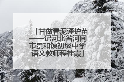 甘做春泥谨护苗——记河北省河间市景和镇初级中学语文教师程桂霞