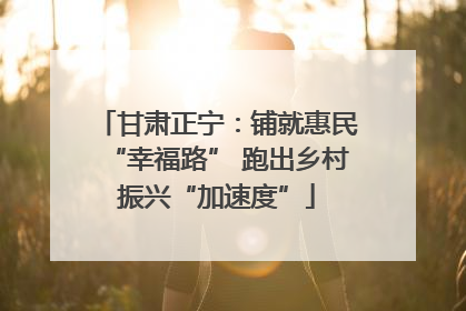 甘肃正宁：铺就惠民“幸福路” 跑出乡村振兴“加速度”