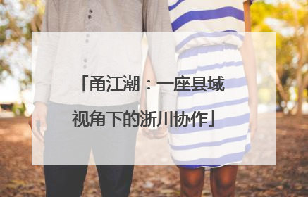 甬江潮：一座县域视角下的浙川协作