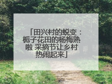田兴村的蜕变：栀子花田的杨梅熟啦 采摘节让乡村热闹起来