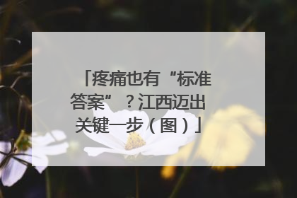 疼痛也有“标准答案”？江西迈出关键一步（图）
