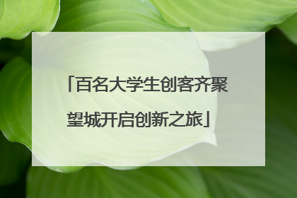 百名大学生创客齐聚望城开启创新之旅