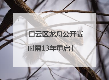 白云区龙舟公开赛时隔13年重启
