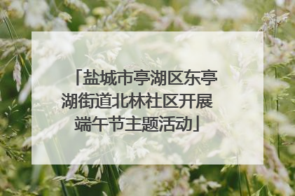 盐城市亭湖区东亭湖街道北林社区开展端午节主题活动