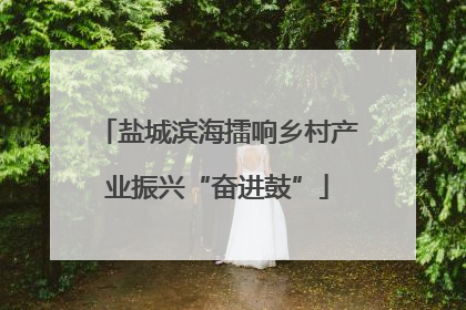 盐城滨海擂响乡村产业振兴“奋进鼓”