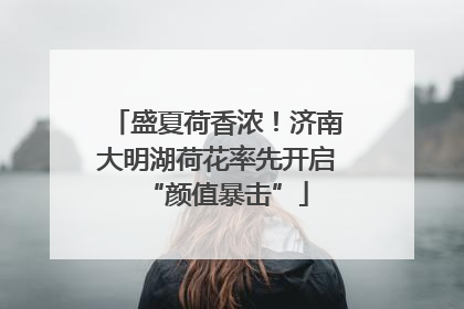 盛夏荷香浓！济南大明湖荷花率先开启“颜值暴击”