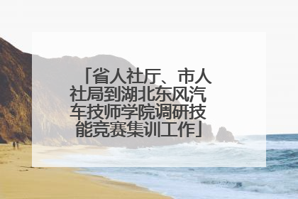 省人社厅、市人社局到湖北东风汽车技师学院调研技能竞赛集训工作