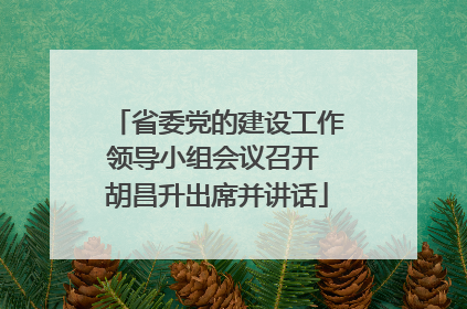 省委党的建设工作领导小组会议召开 胡昌升出席并讲话