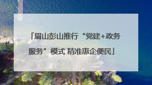 眉山彭山推行“党建+政务服务”模式 精准惠企便民