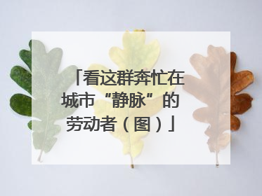 看这群奔忙在城市“静脉”的劳动者（图）