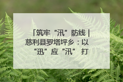 筑牢“汛”防线｜慈利县罗塔坪乡：以“迅”应“汛” 打赢暴雨防御战