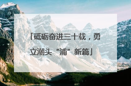 砥砺奋进三十载，勇立潮头“浦”新篇