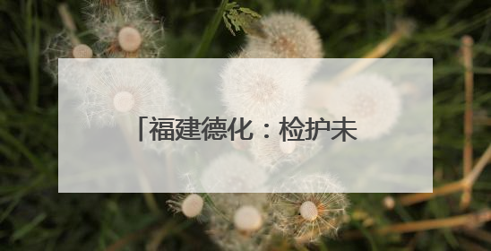 福建德化：检护未来，与法“童”在