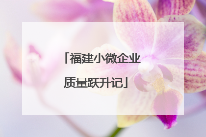 福建小微企业质量跃升记