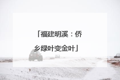 福建明溪：侨乡绿叶变金叶