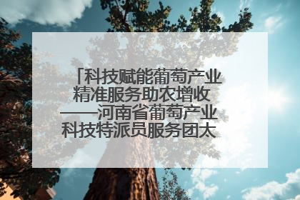 科技赋能葡萄产业 精准服务助农增收——河南省葡萄产业科技特派员服务团太康县科技服务纪实