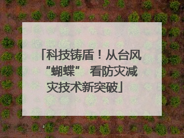 科技铸盾！从台风“蝴蝶” 看防灾减灾技术新突破
