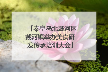 秦皇岛北戴河区戴河镇举办美食研发传承培训大会